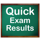 Quick Exam Result-icoon