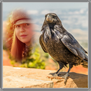 APK Bird Photo Frame