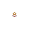 LSA Bissau APK