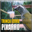 Canto Trinca Ferro Pixarro HD