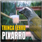 Icona Canto Trinca Ferro Pixarro HD