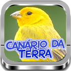 Canário da Terra |Completos biểu tượng