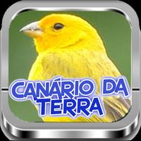 Canário da Terra |Completos Cartaz