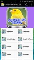 Canário da Terra |Completos imagem de tela 2