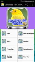 Canário da Terra |Completos ภาพหน้าจอ 3