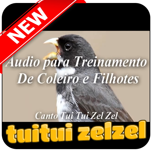 Ensine Seu Coleiro a Cantar Tui Tui