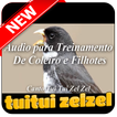 Ensine Seu Coleiro a Cantar Tui Tui