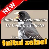 Ensine Seu Coleiro a Cantar Tui Tui الملصق