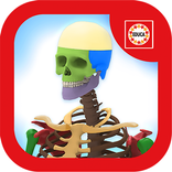 Educa Explorer Cuerpo Humano