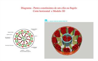 Educamos Online 스크린샷 1