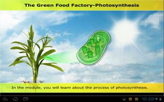 Photosynthesis & reactions Screenshot 3