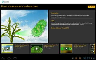 Photosynthesis & reactions Affiche