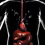 Human Digestive System