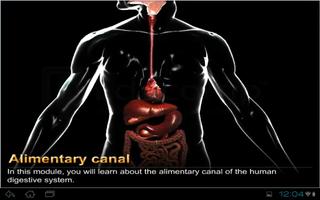 Human Digestive System اسکرین شاٹ 1