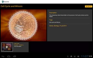 Cell cycle and Mitosis 海報