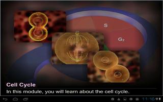 Cell cycle and Mitosis capture d'écran 1