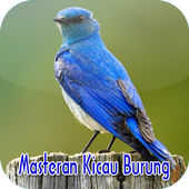 Masteran Kicau Burung アイコン