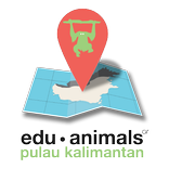 EduAnimals: Pulau Kalimantan
