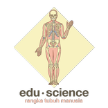 EduScience: Kerangka Manusia