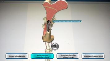 EduScience: Kerangka Manusia capture d'écran 1