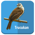 Master Kicau Trucukan