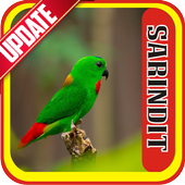 Masteran Kicau Serindit For Android Apk Download