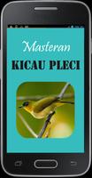 Masteran Kicau Pleci poster