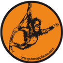 Orangutan Applause APK