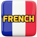 Learn French with Vincent APK