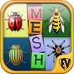 Mesh of Entomology