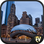 Chicago 아이콘