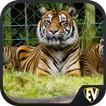 Famous Zoos Travel & Explore G