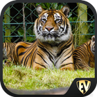 Famous Zoos Travel & Explore G icône