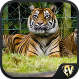 Famous Zoos Travel & Explore G icône