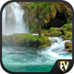Forests & Waterfalls Travel & 