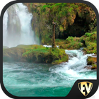 Forests & Waterfalls Travel &  icon