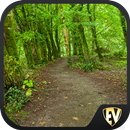 Famous Tracks & Trails Travel  APK
