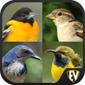 Perching Birds