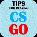 Tips For Playing CS:GO APK