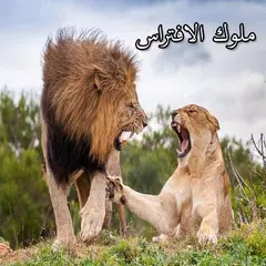 الحياة البرية والافتراس