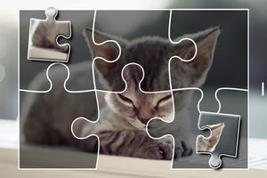 Kittens Jigsaw Puzzle Jeux capture d'écran 3