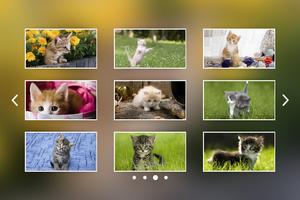 Kittens Jigsaw Puzzle Jeux capture d'écran 1
