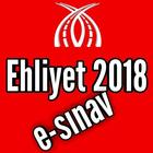 ehliyet sinav sorulari 2019 ikona