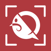 Qero Scan APK