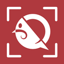 Qero Scan APK