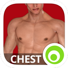 Chest Workout أيقونة