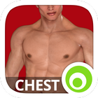 Chest Workout icône