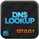 DNS Lookup APK