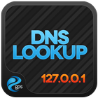 DNS Lookup icône