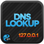 DNS Lookup